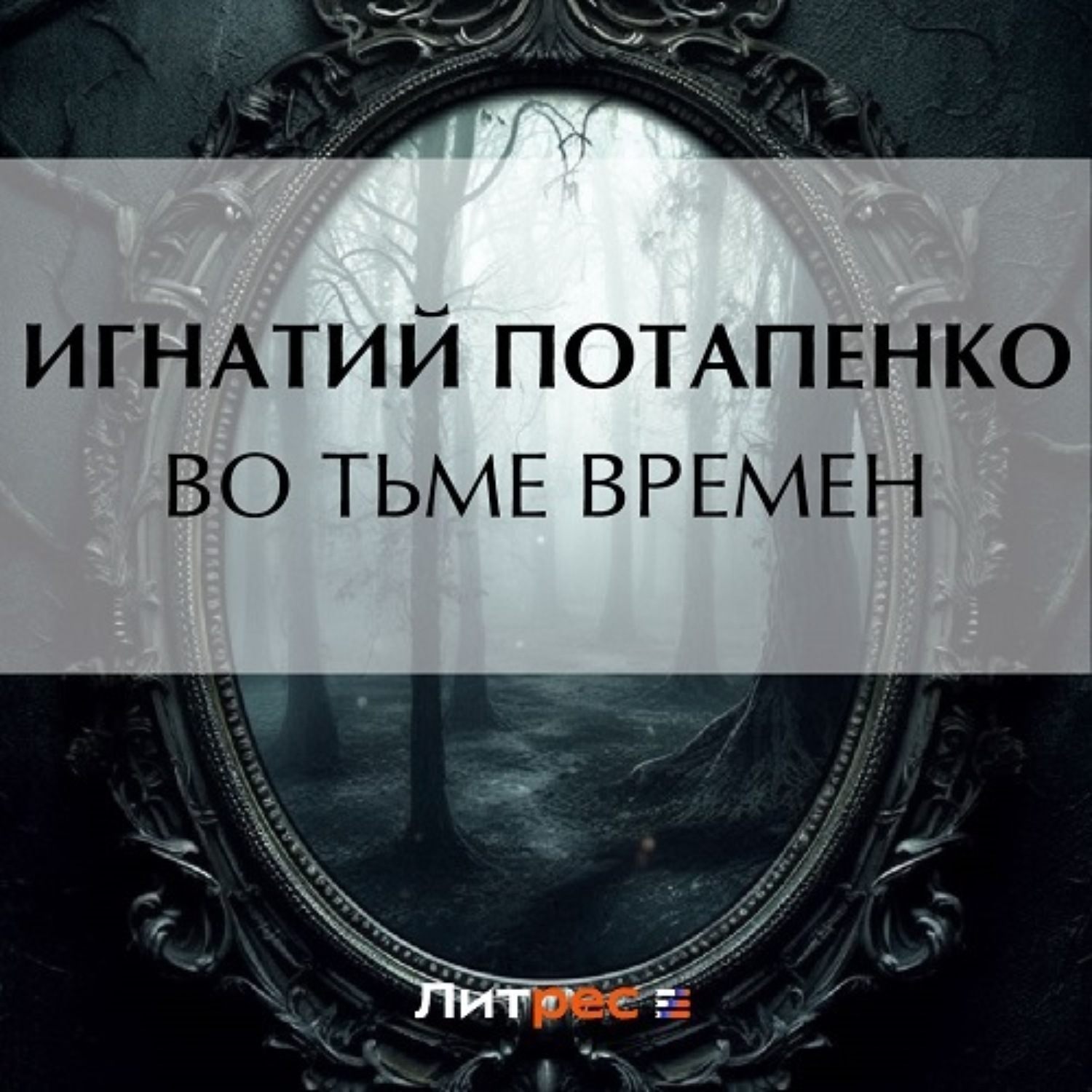 Обложка книги «Во тьме времен»