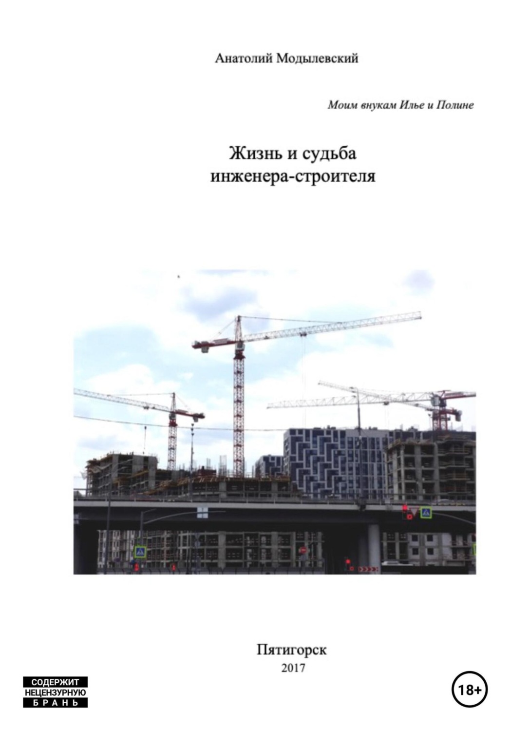 Обложка книги «Жизнь и судьба инженера-строителя»