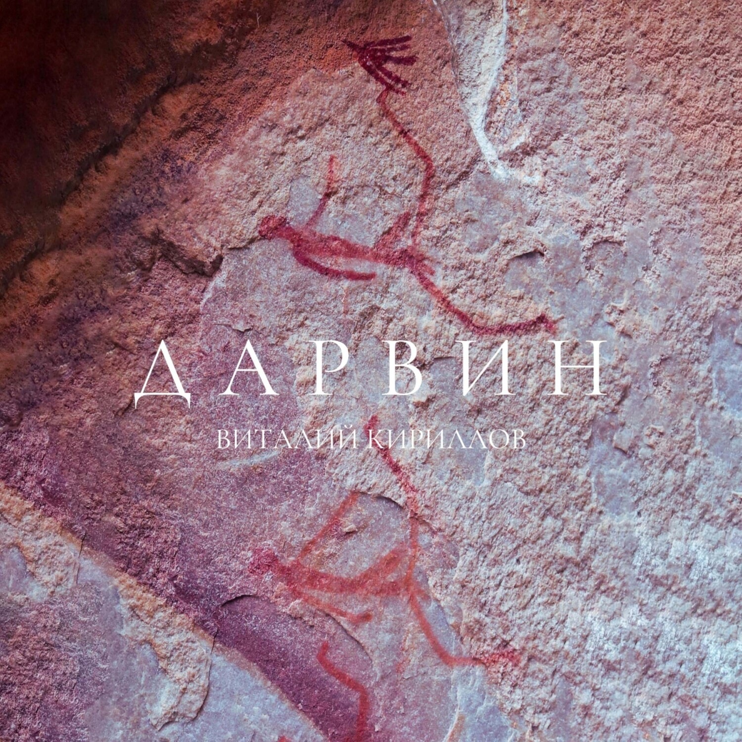 Обложка книги «Дарвин»