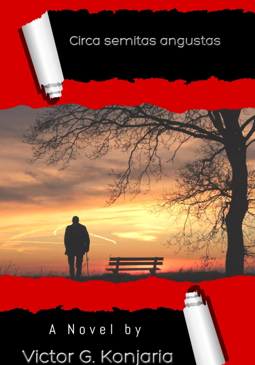 Обложка книги «Circa semitas angustas»