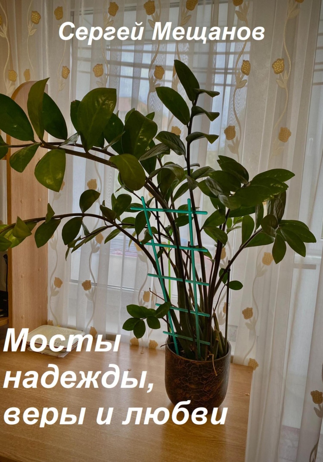 Обложка книги «Мосты надежды, веры и любви»
