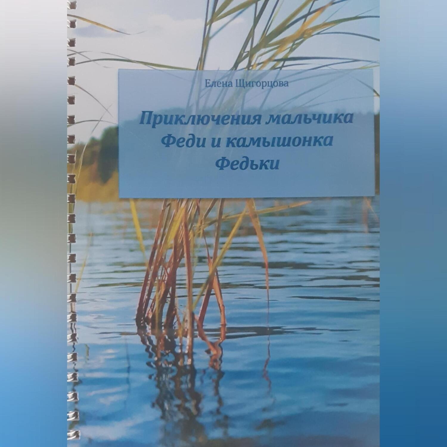 Обложка книги «Приключения мальчика Феди и камышонка Федьки»