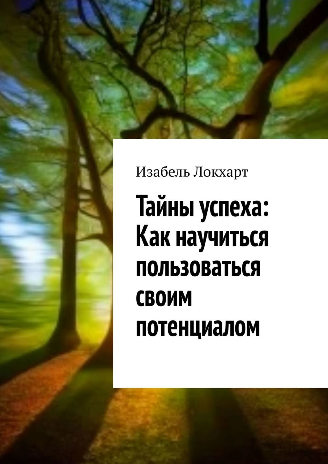 Обложка книги «Тайны успеха: Как научиться пользоваться своим потенциалом»