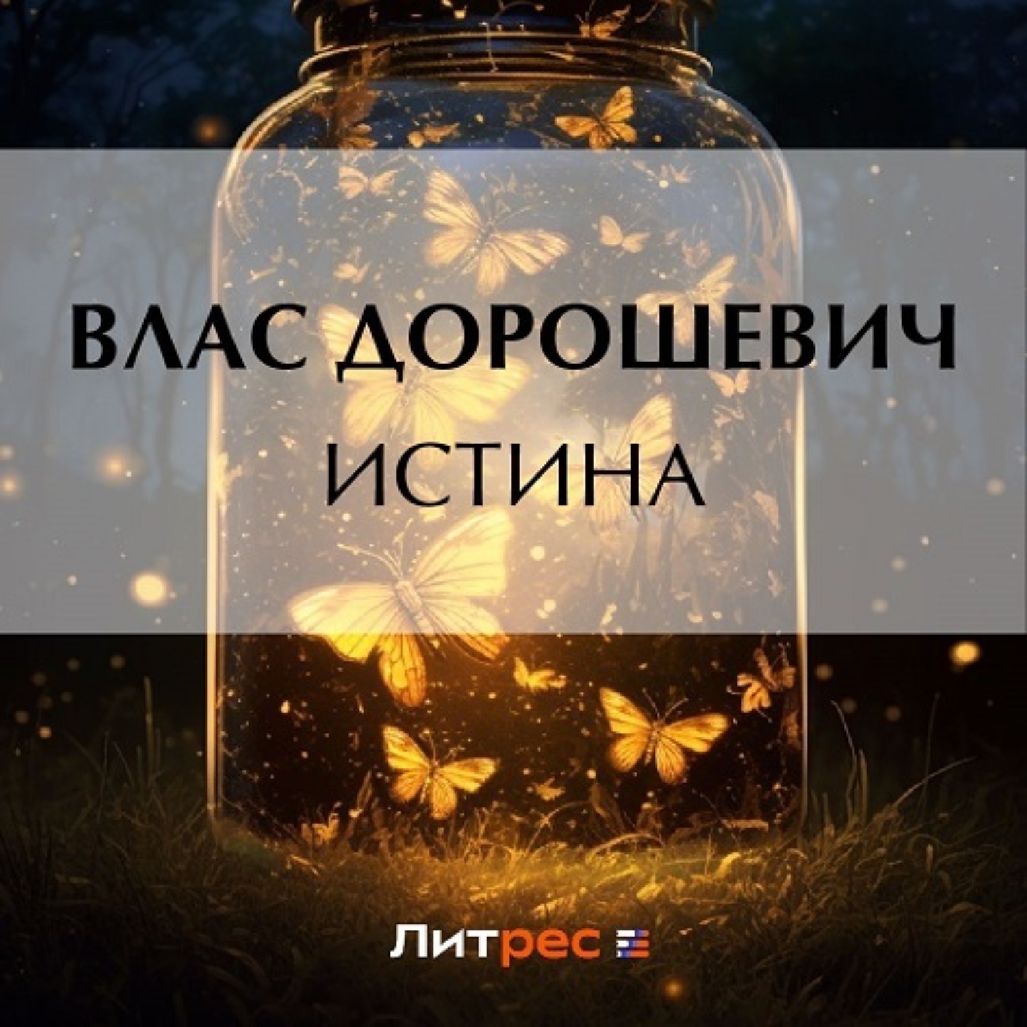 Обложка книги «Истина»