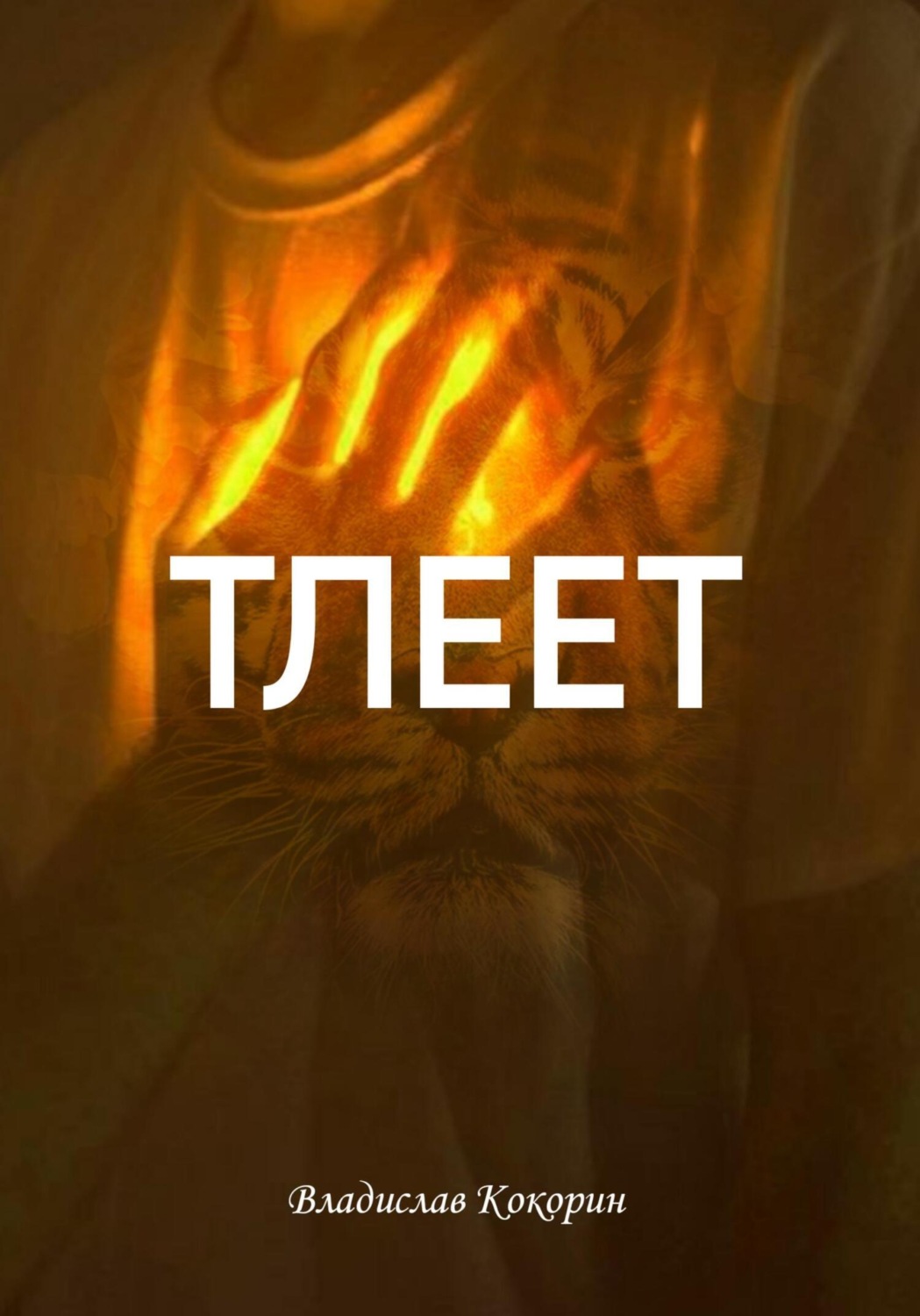 Обложка книги «Тлеет»