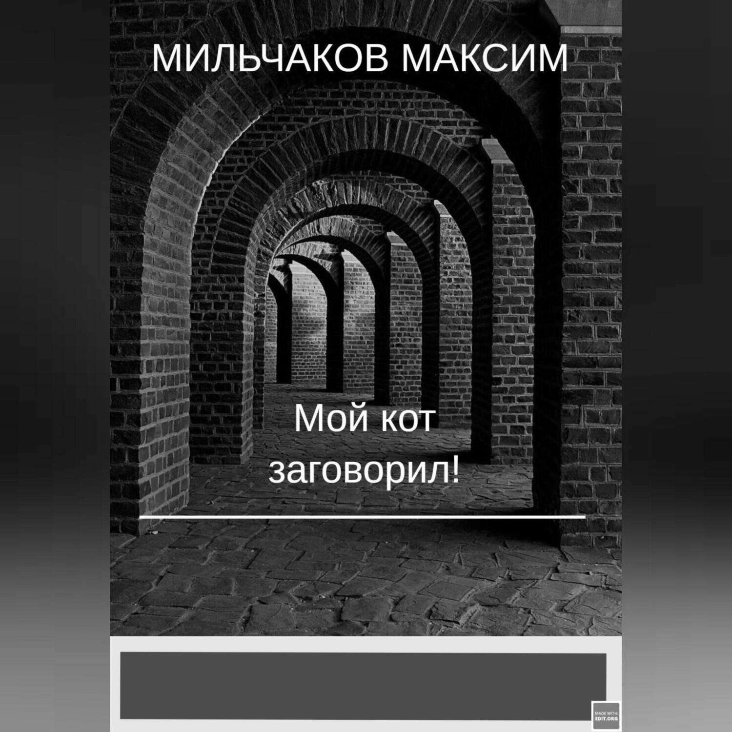 Обложка книги «Мой кот заговорил»