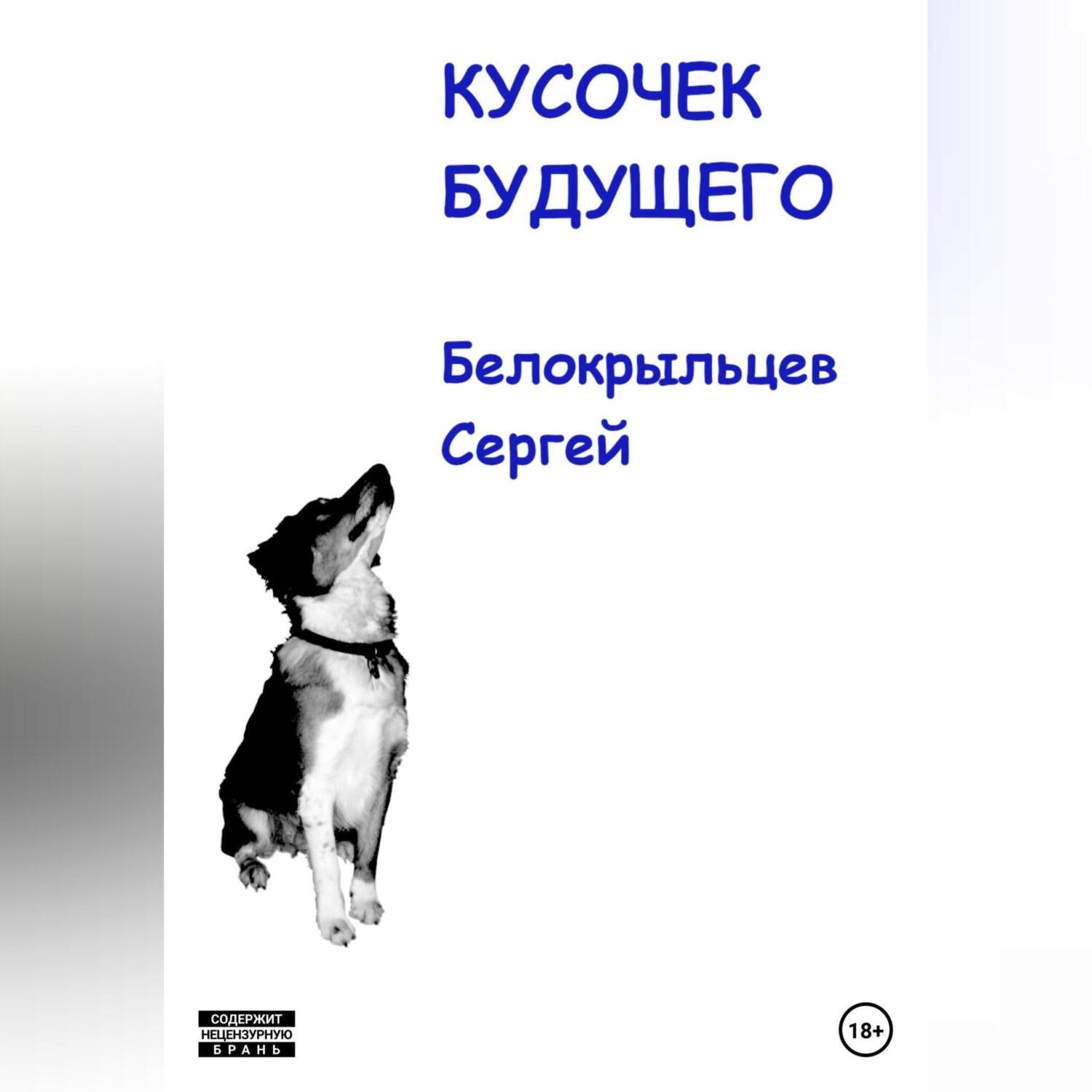 Обложка книги «Кусочек будущего»