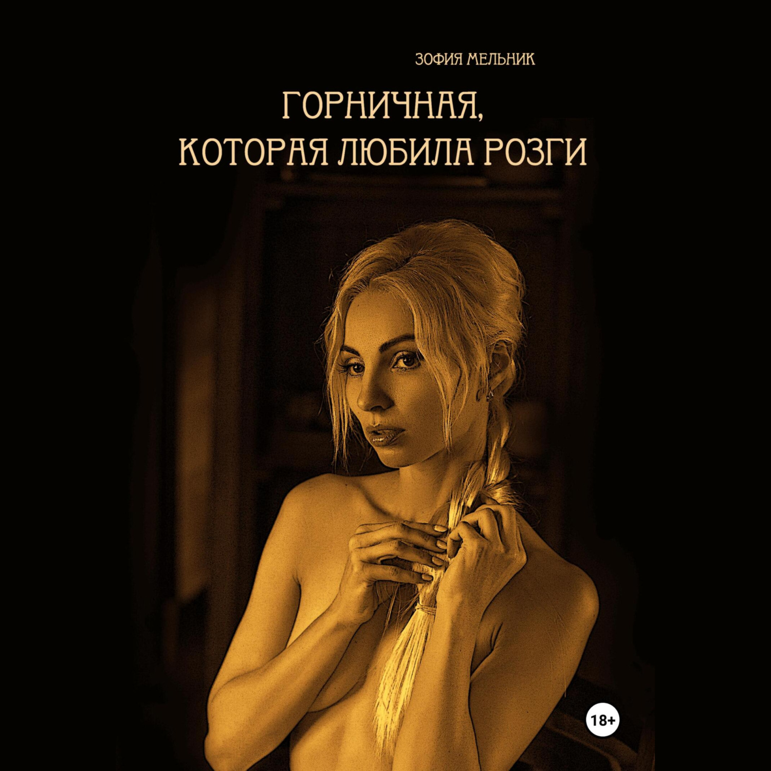 Обложка книги «Горничная, которая любила розги»