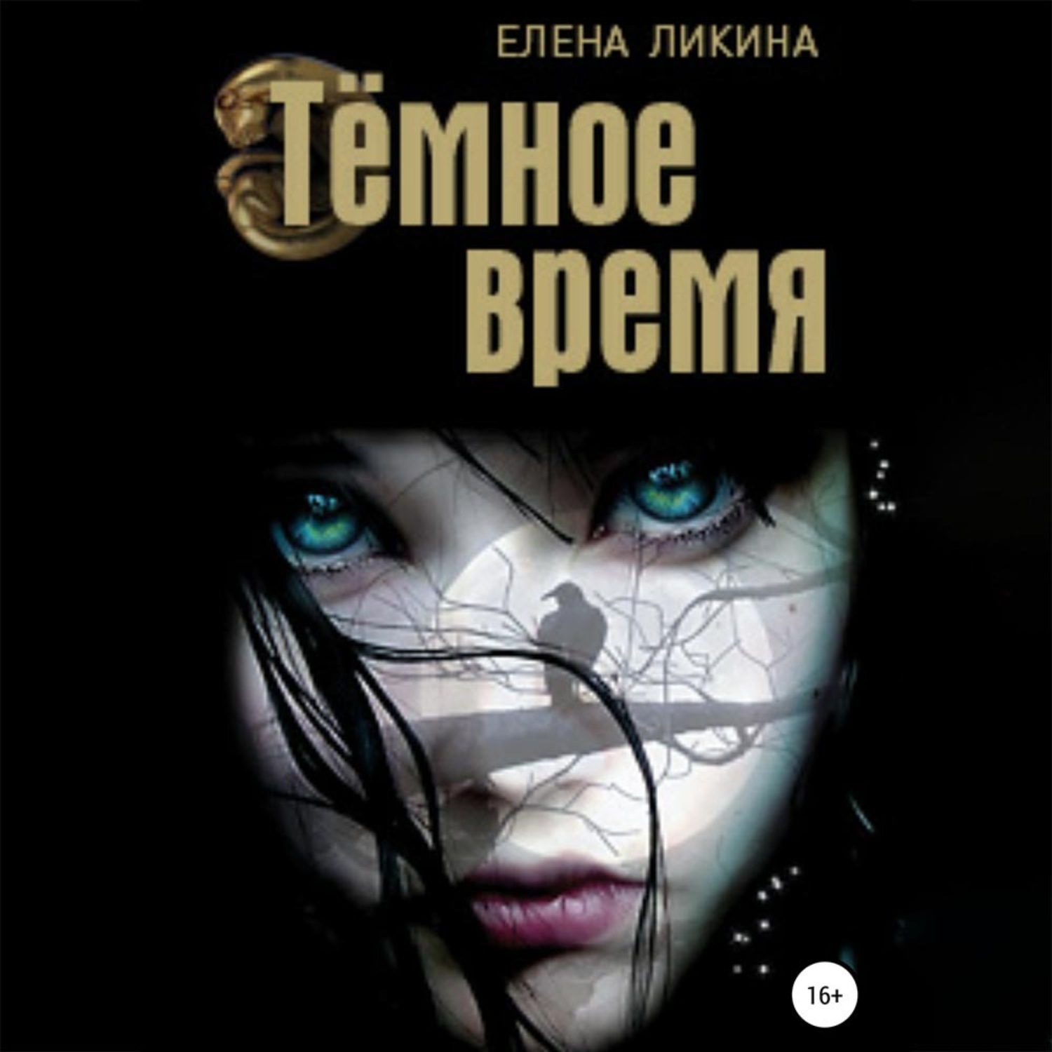 Обложка книги «Тёмное время»