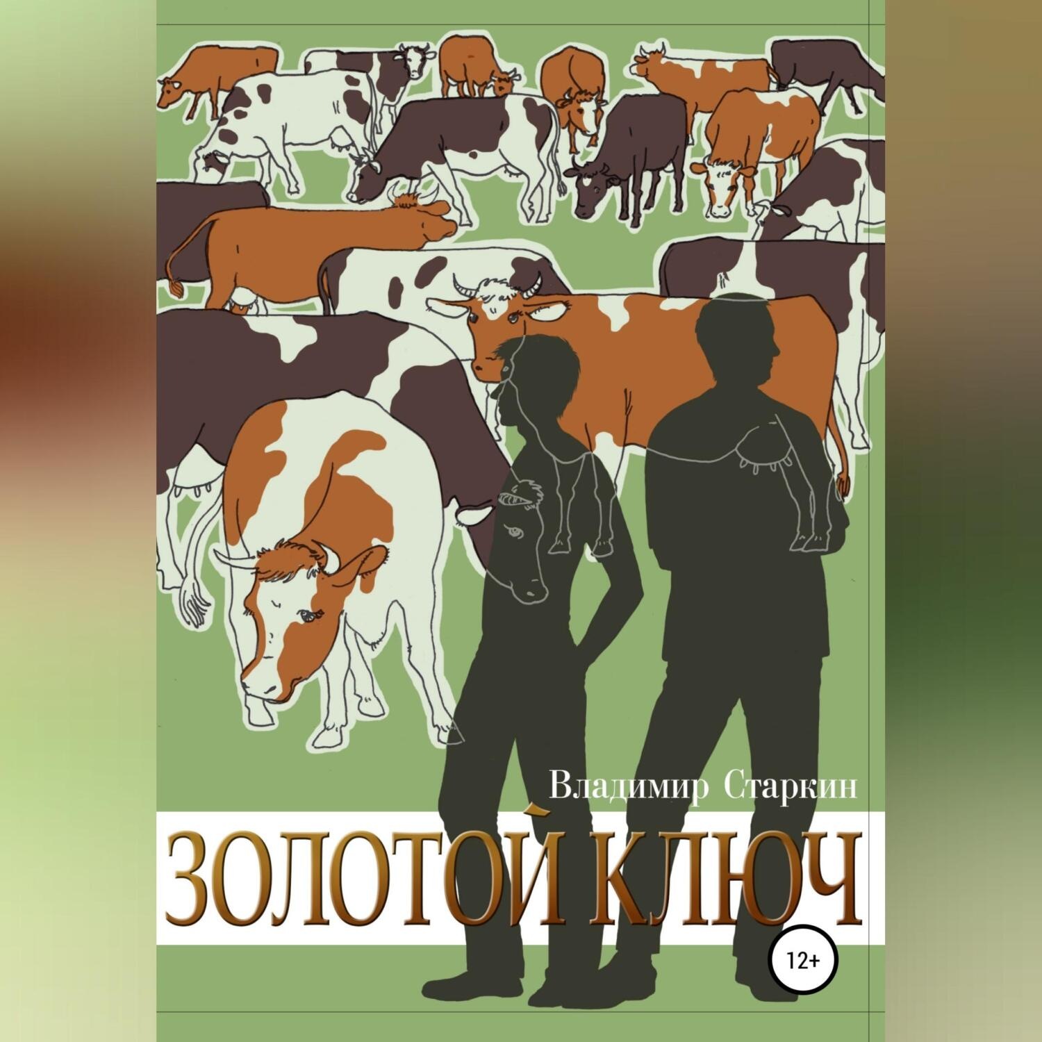 Обложка книги «Золотой ключ»