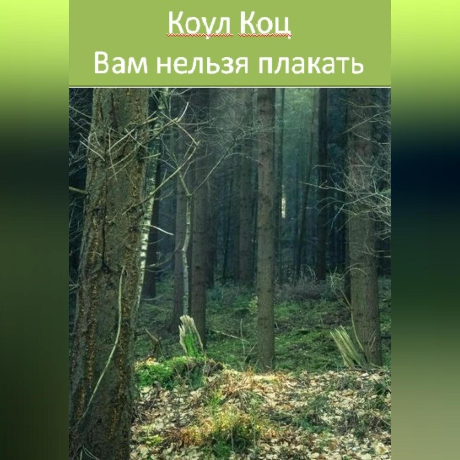 Обложка книги «Вам нельзя плакать»