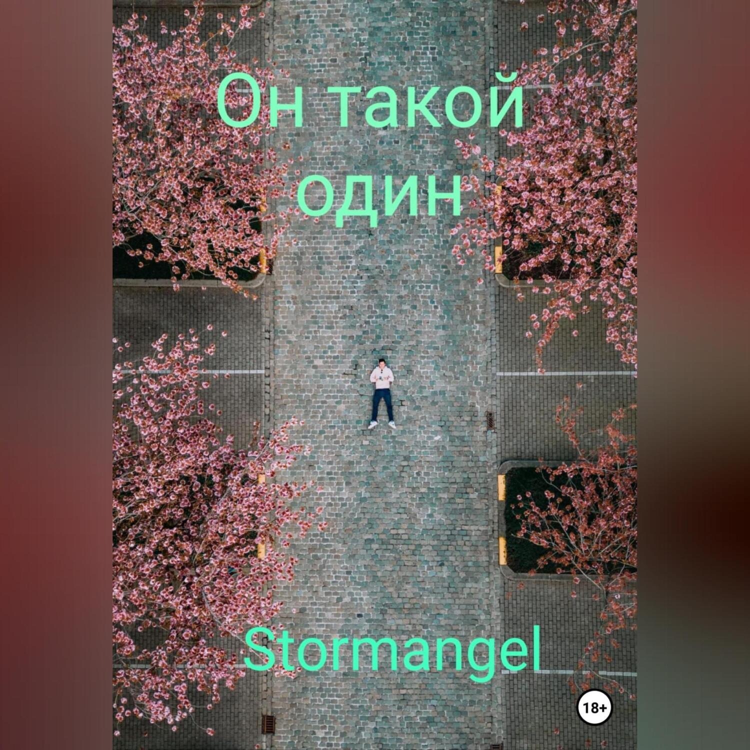 Обложка книги «Он такой один»