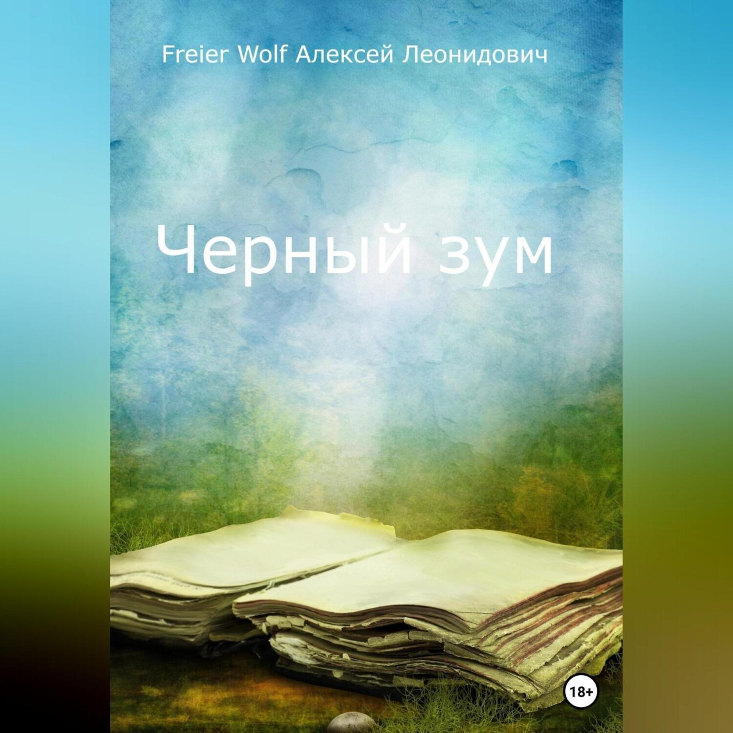 Обложка книги «Черный зум»