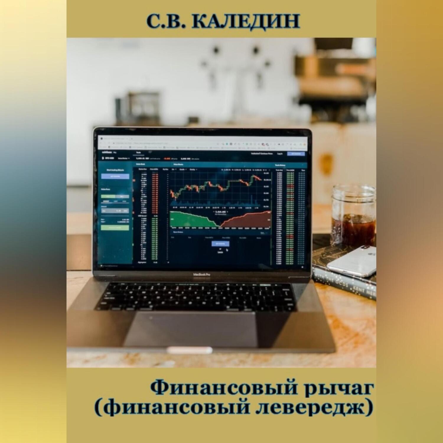 Обложка книги «Финансовый рычаг (финансовый левередж)»