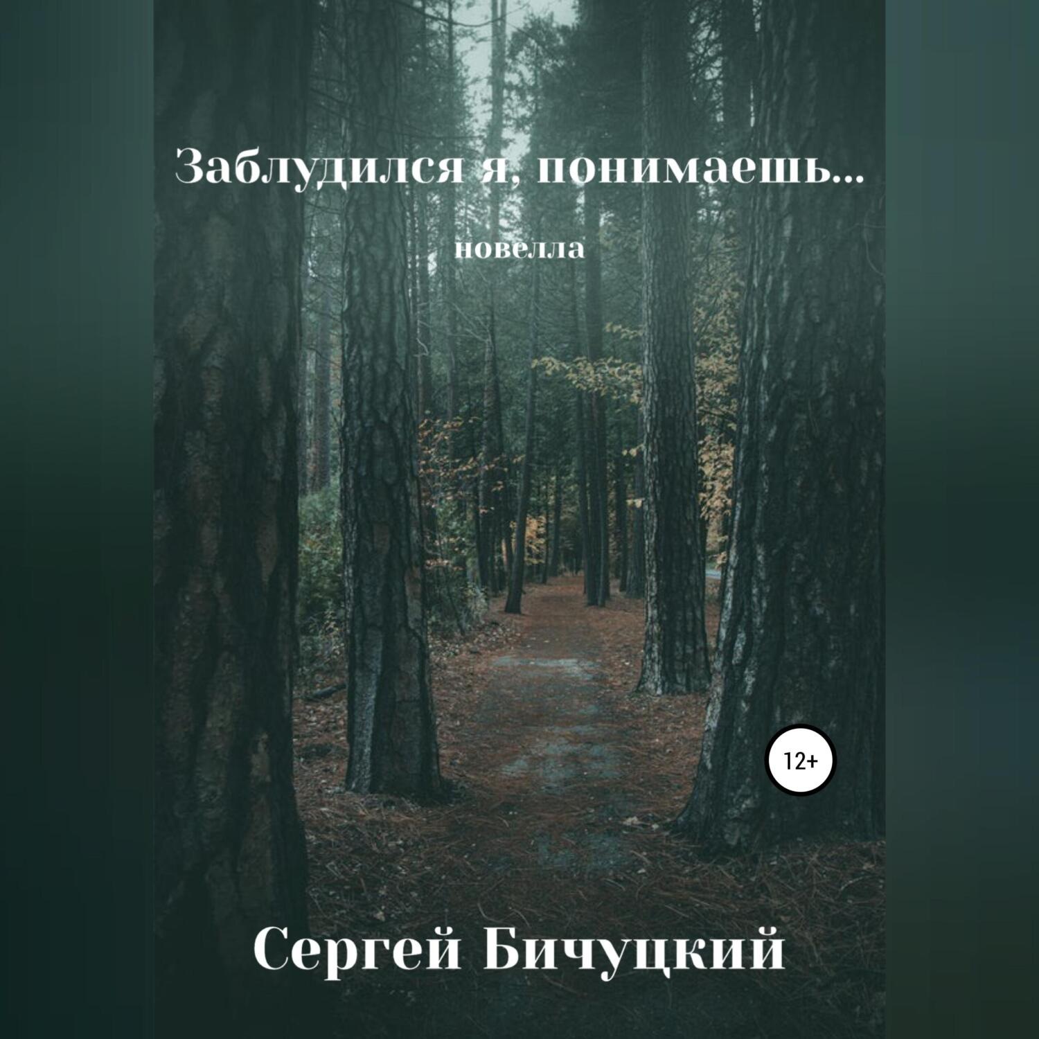 Обложка книги «Заблудился я, понимаешь…»