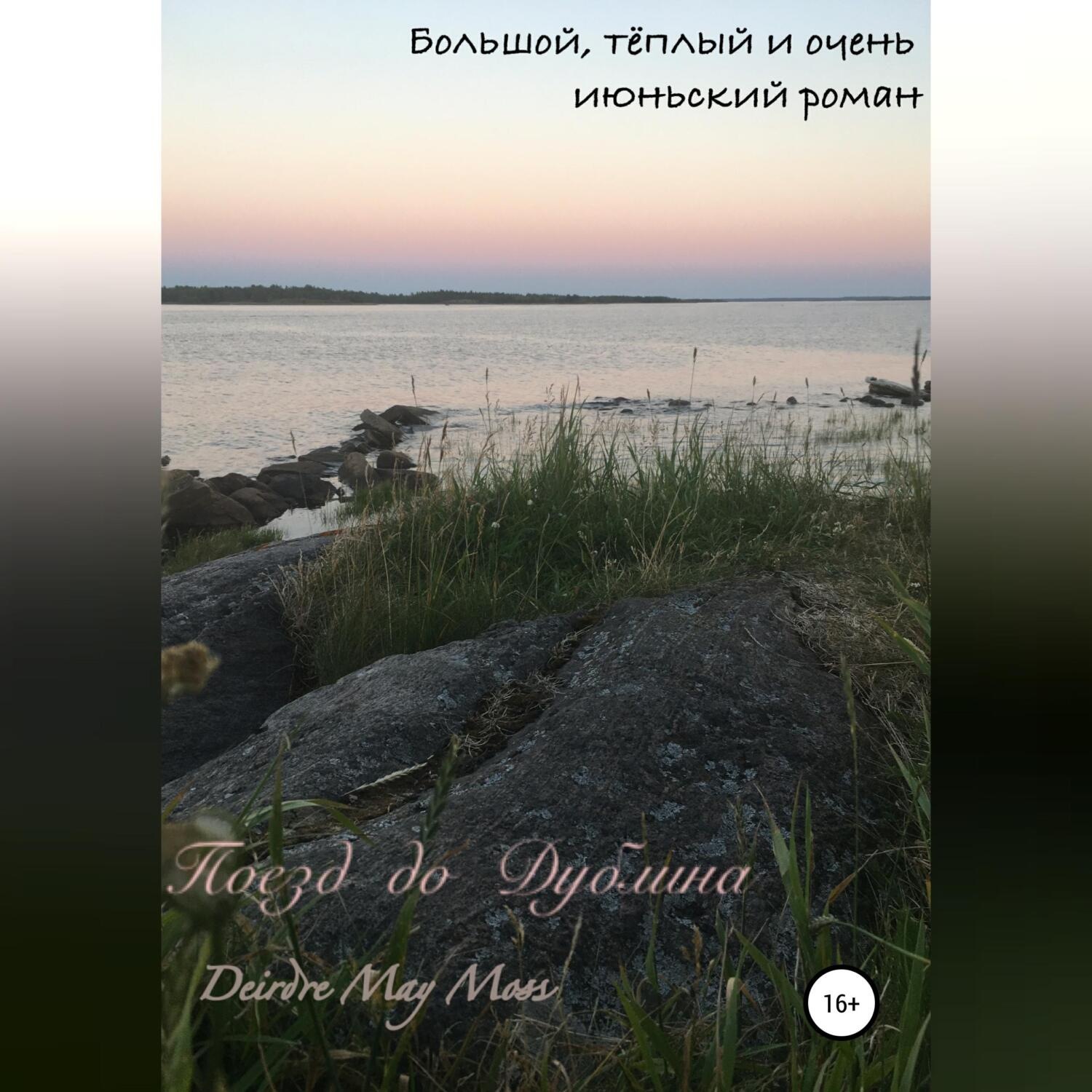 Обложка книги «Поезд до Дублина»