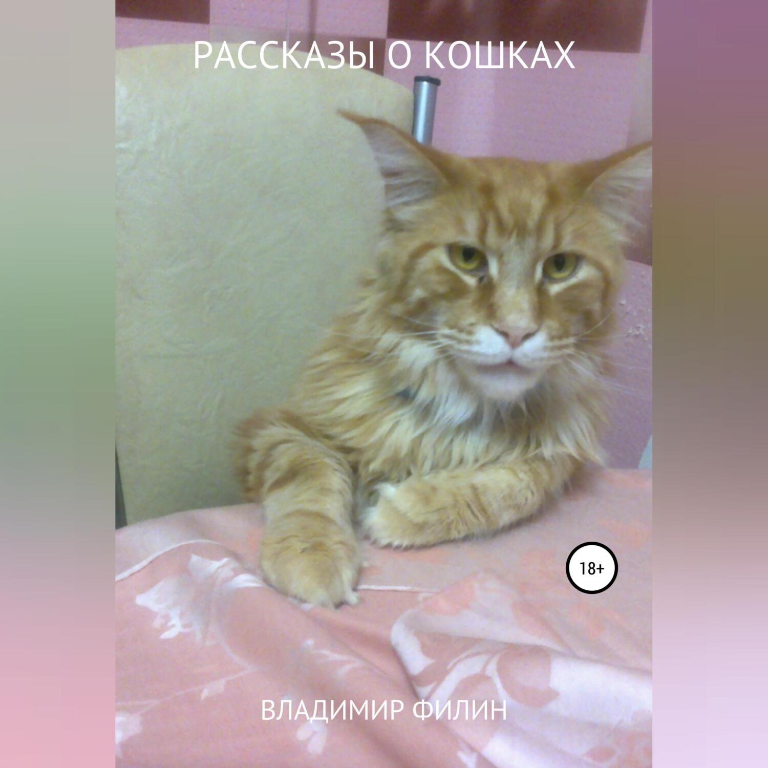 Обложка книги «Рассказы о кошках»