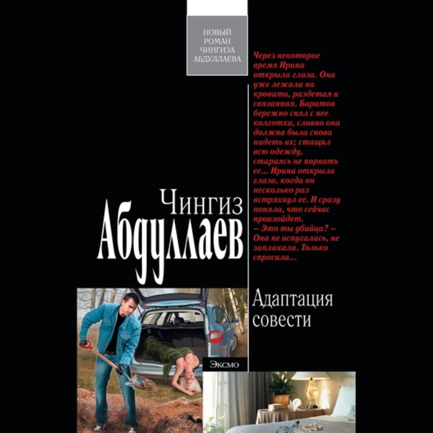 Обложка книги «Адаптация совести»