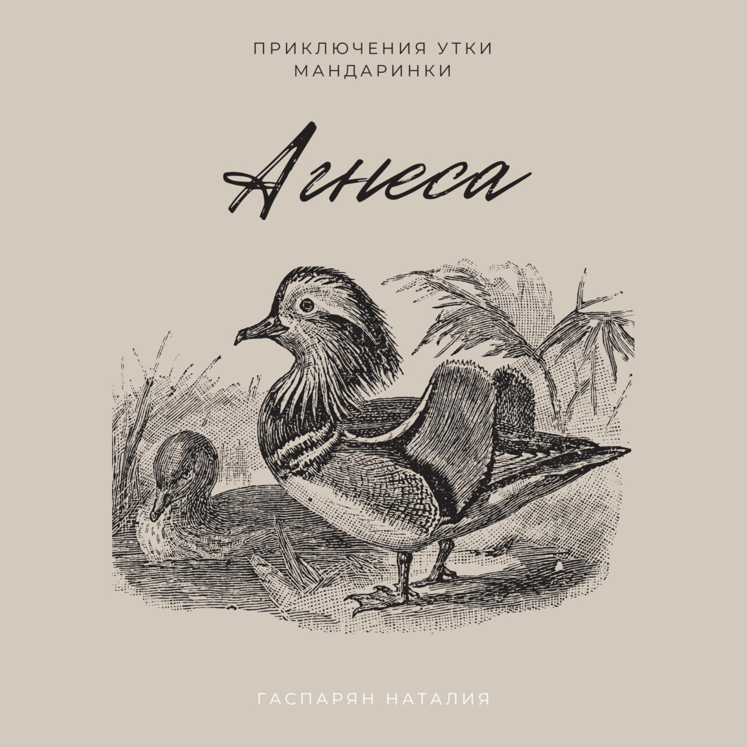 Обложка книги «Агнеса»