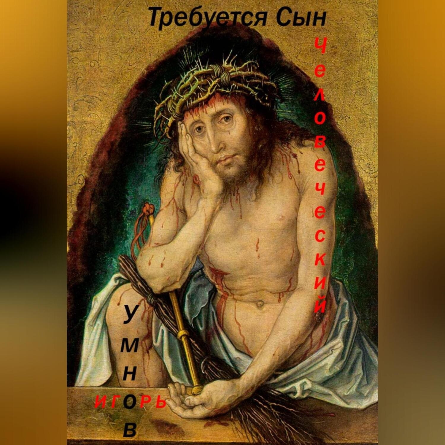 Обложка книги «Требуется Сын Человеческий»