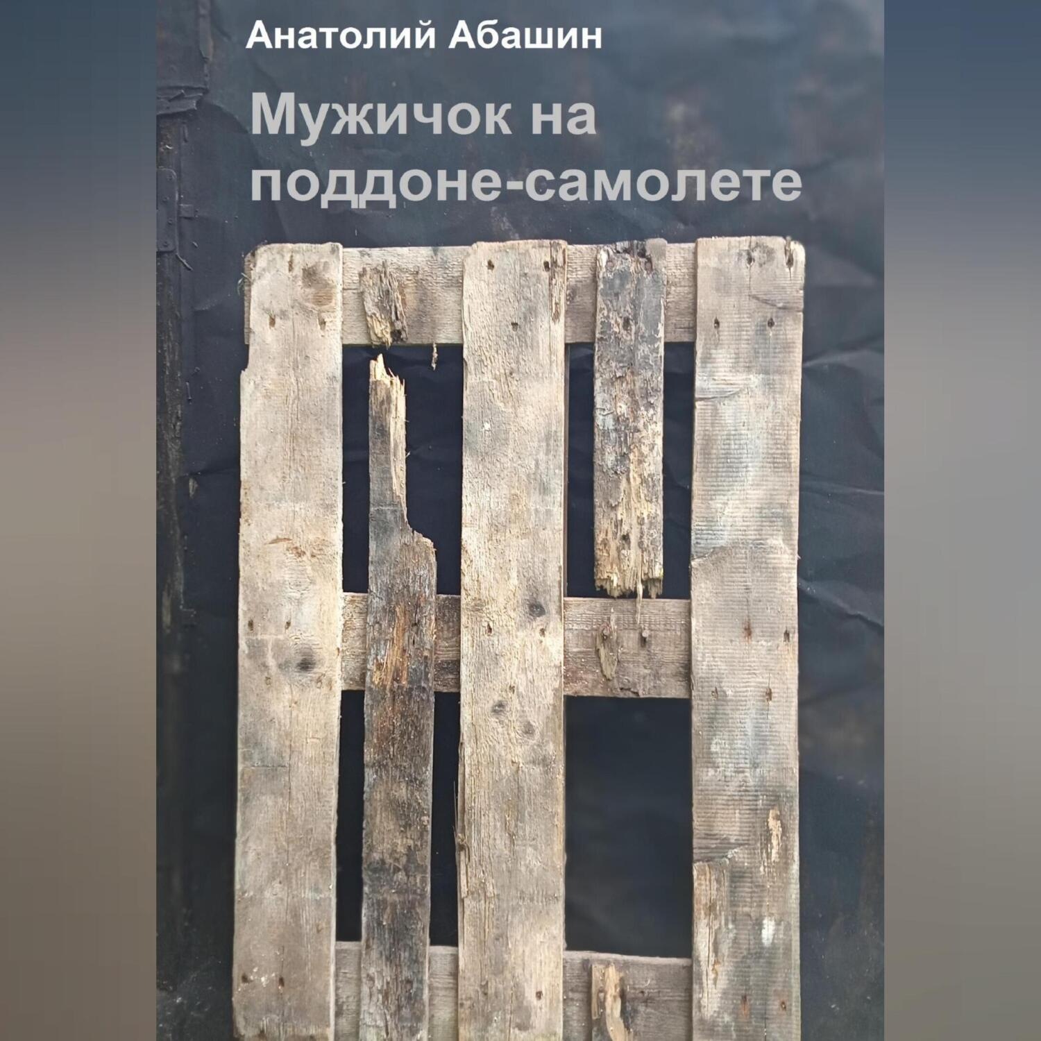 Обложка книги «Мужичок на поддоне»