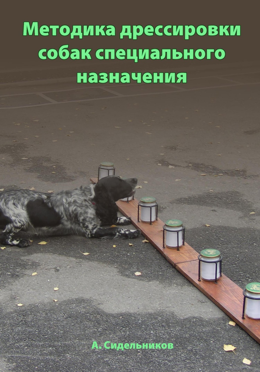 Обложка книги «Методика дрессировки собак специального назначения»