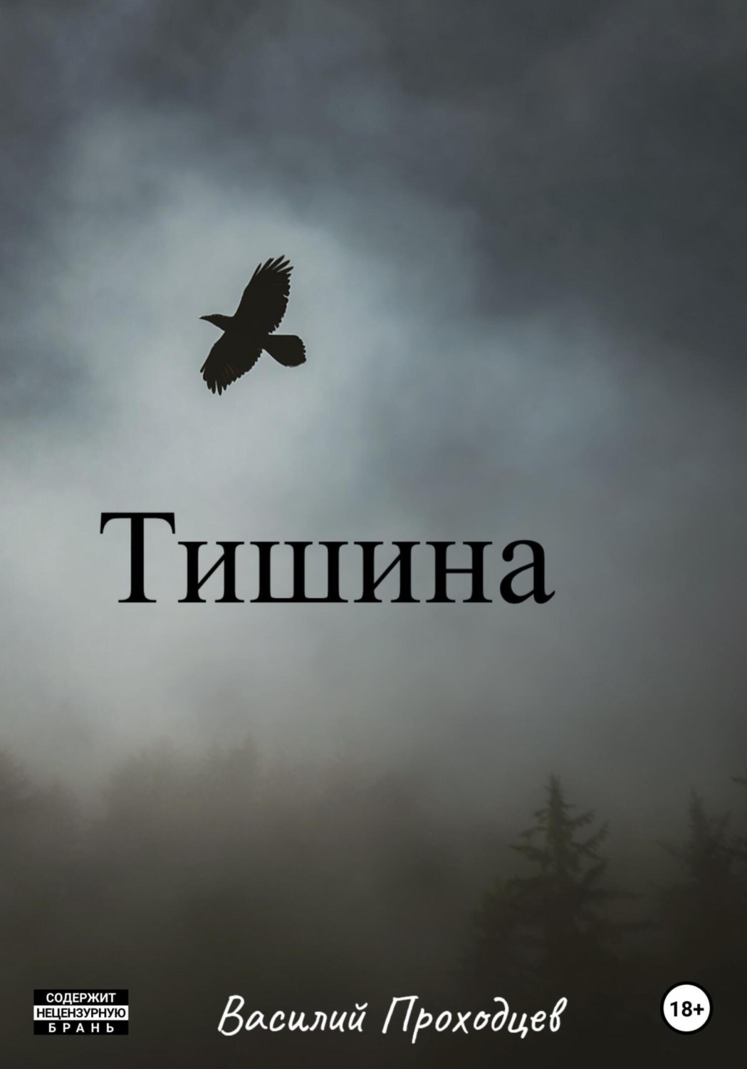 Обложка книги «Тишина»