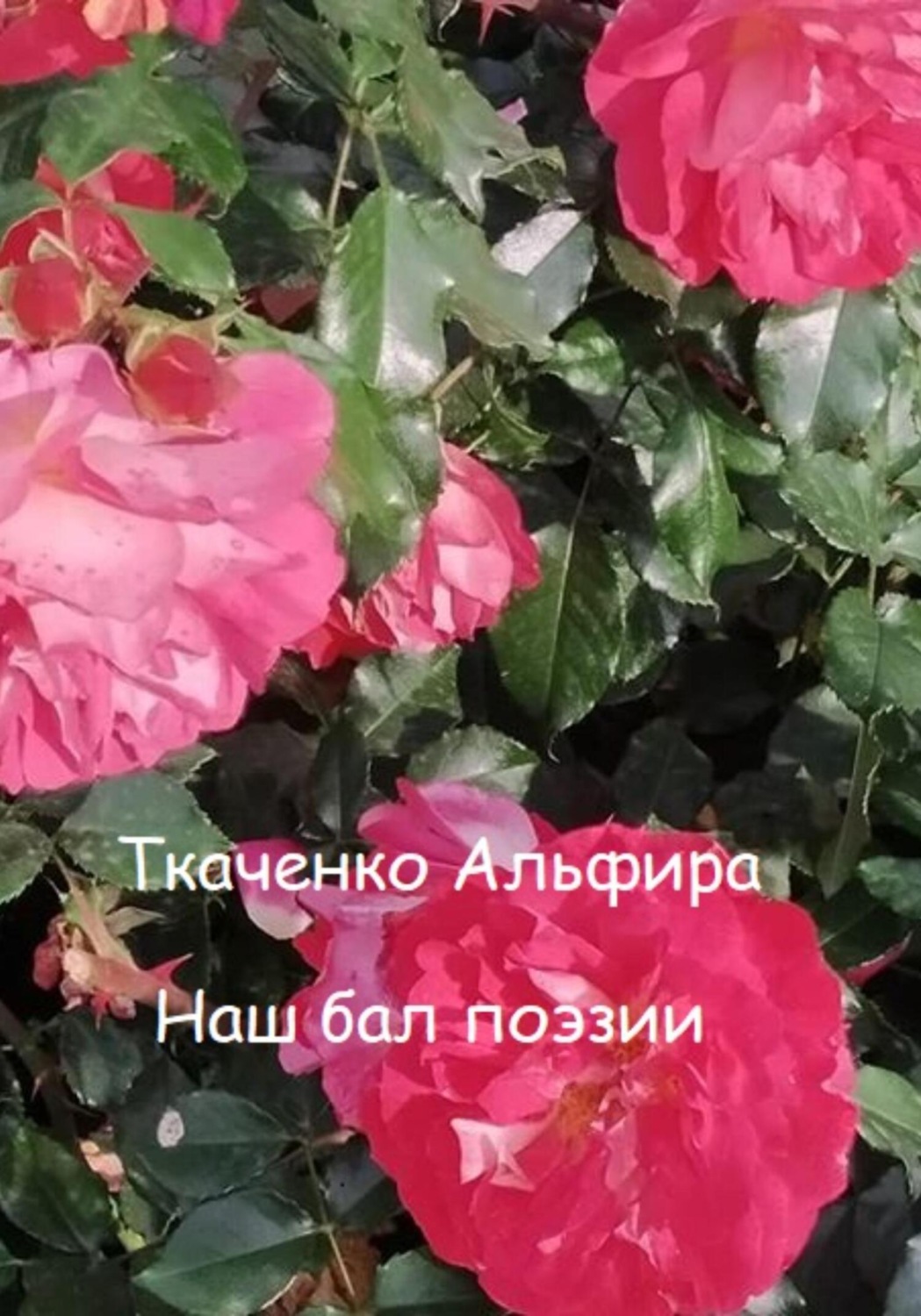 Обложка книги «Наш бал поэзии»