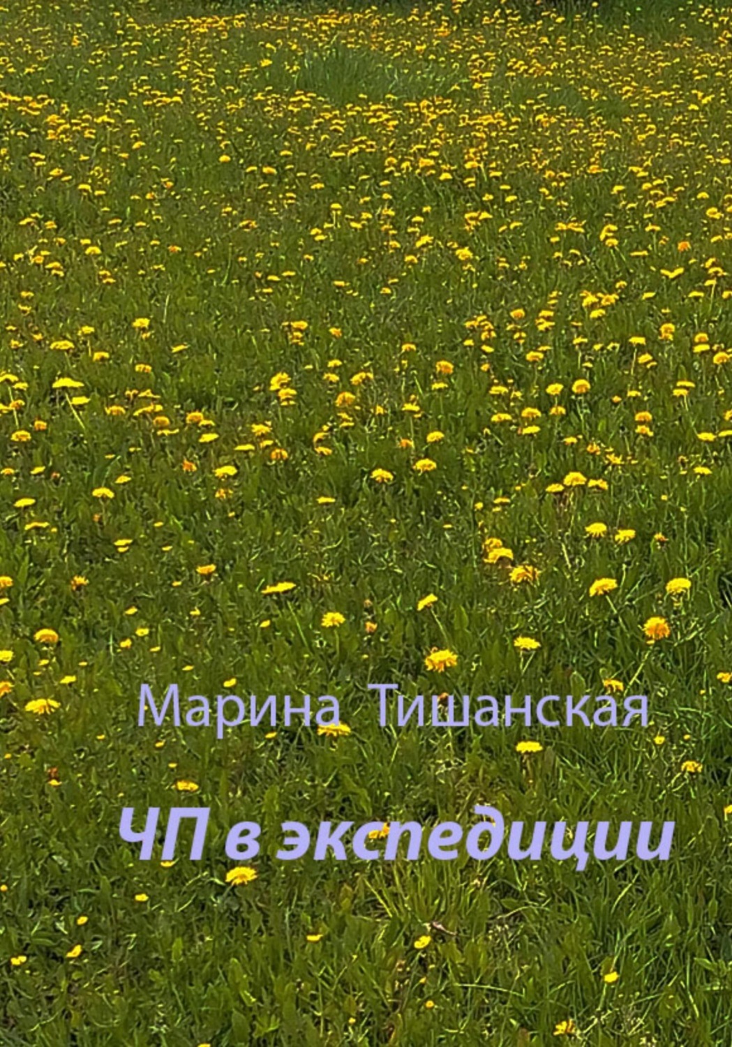 Обложка книги «ЧП в экспедиции»