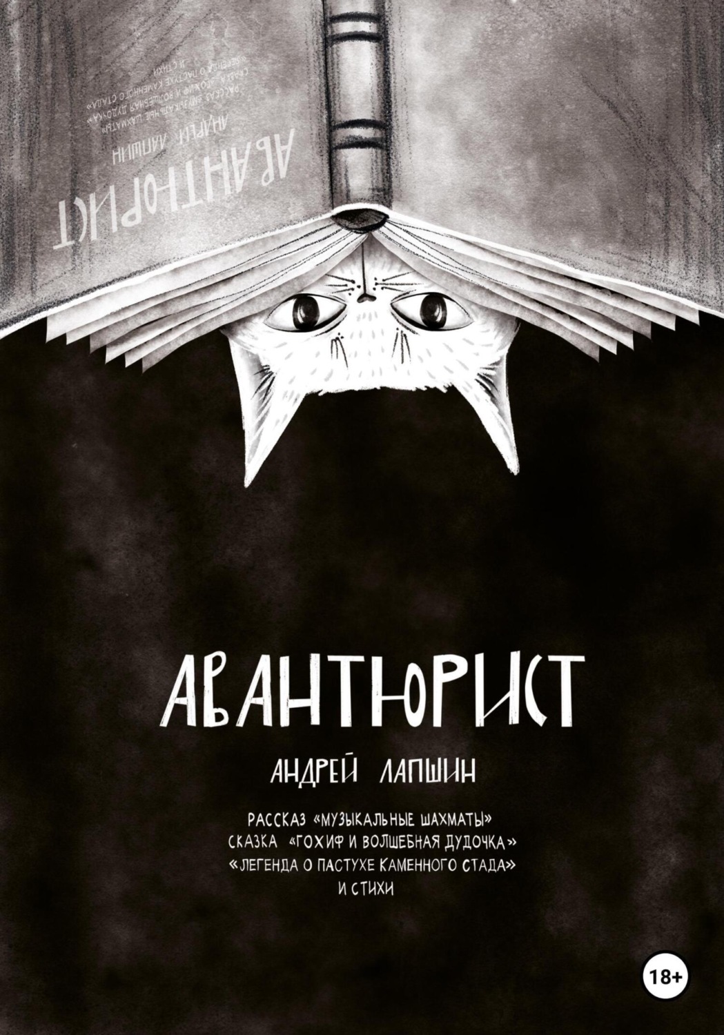 Обложка книги «Авантюрист»