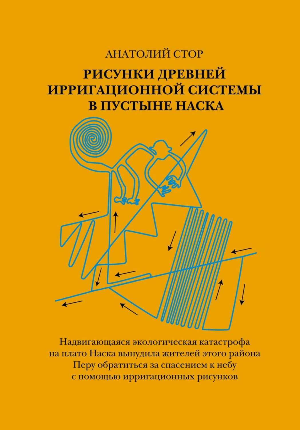 Обложка книги «Рисунки древней ирригационной системы в пустыне Наска»