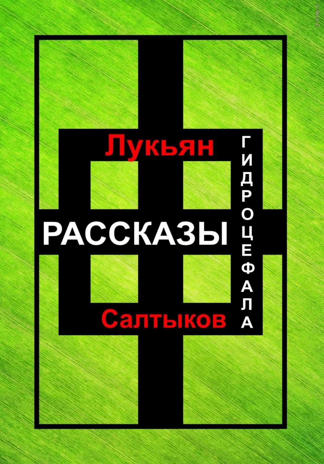 Обложка книги «Рассказы Гидроцефала»