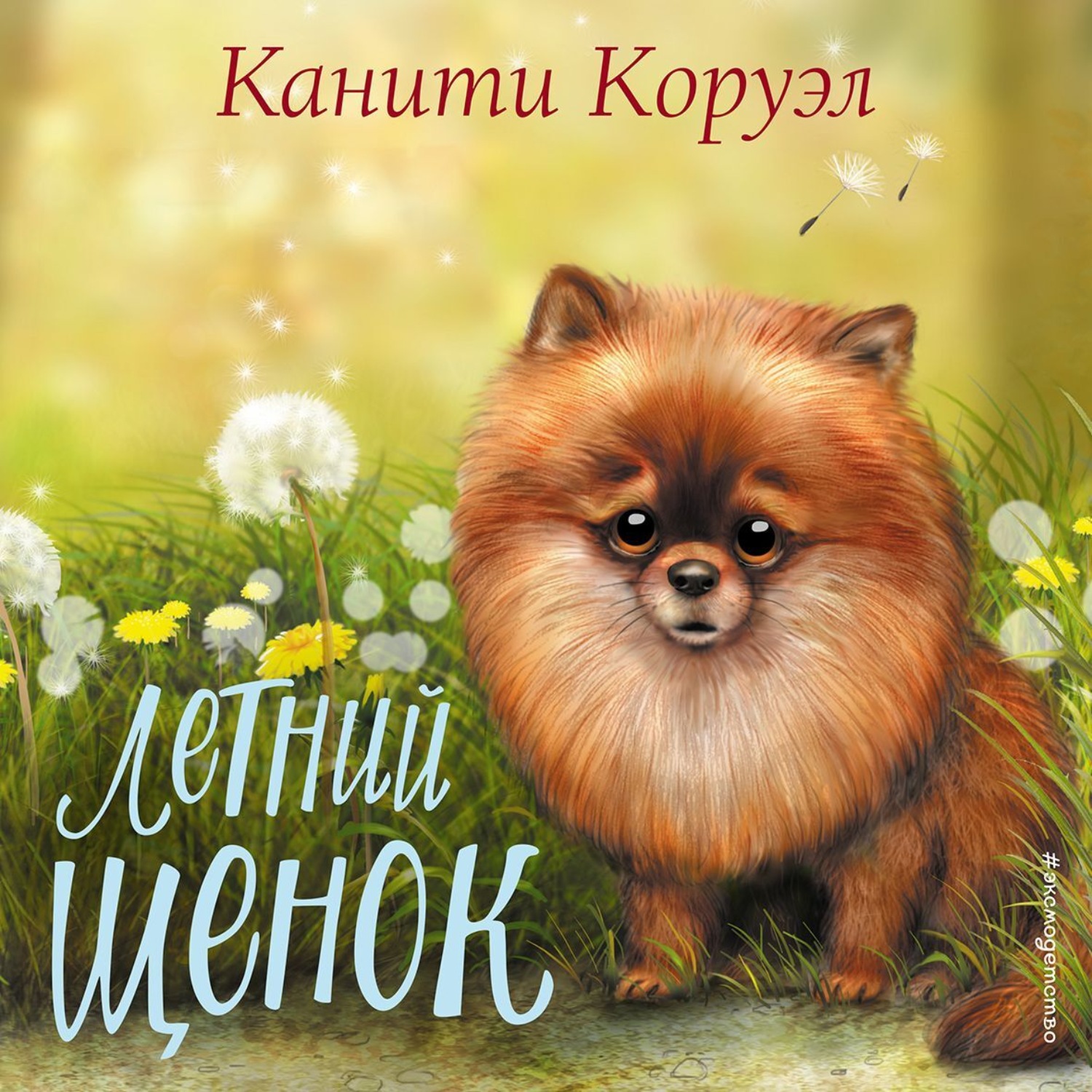 Обложка книги «Летний щенок»