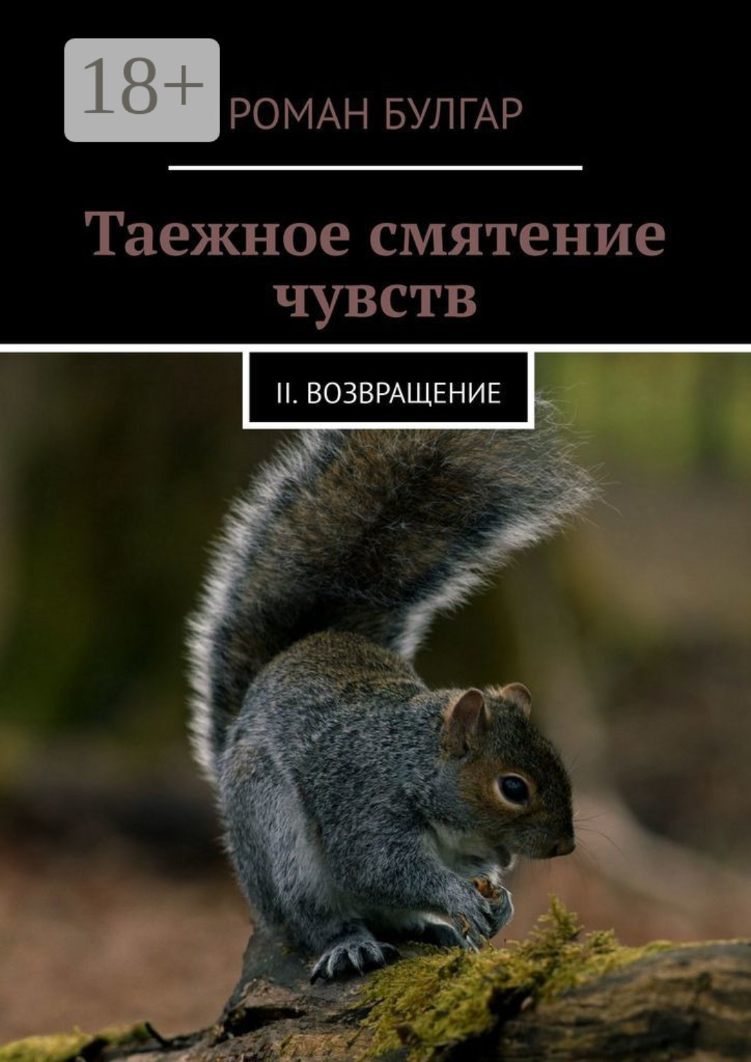 Обложка книги «Таежное смятение чувств. II. Возвращение»
