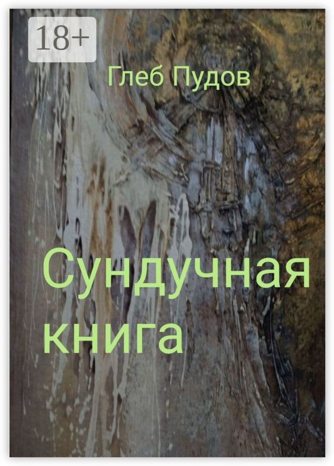 Обложка книги «Сундучная книга»