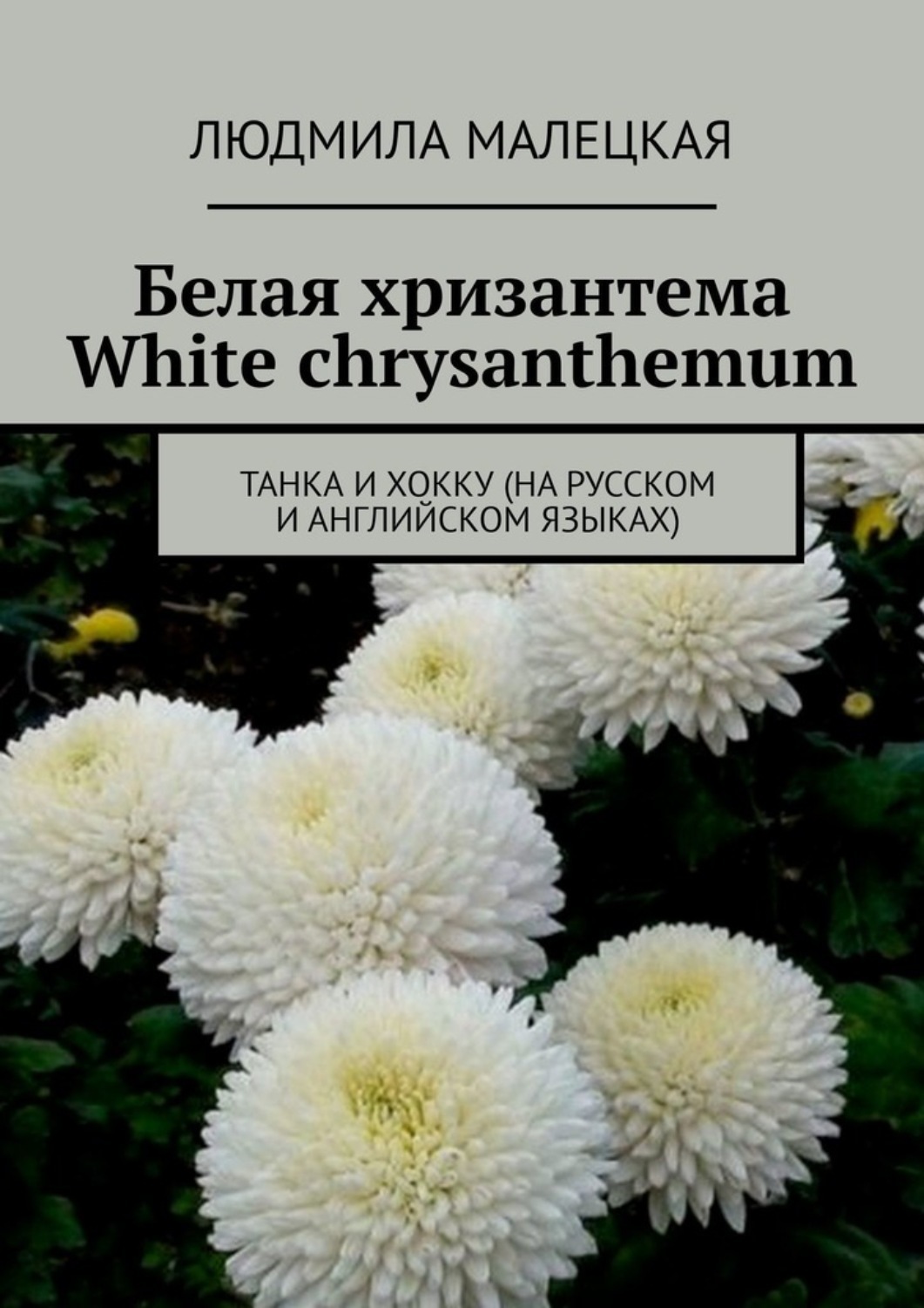 Обложка книги «Белая хризантема. White chrysanthemum. Танка и хокку (на русском и английском языках)»
