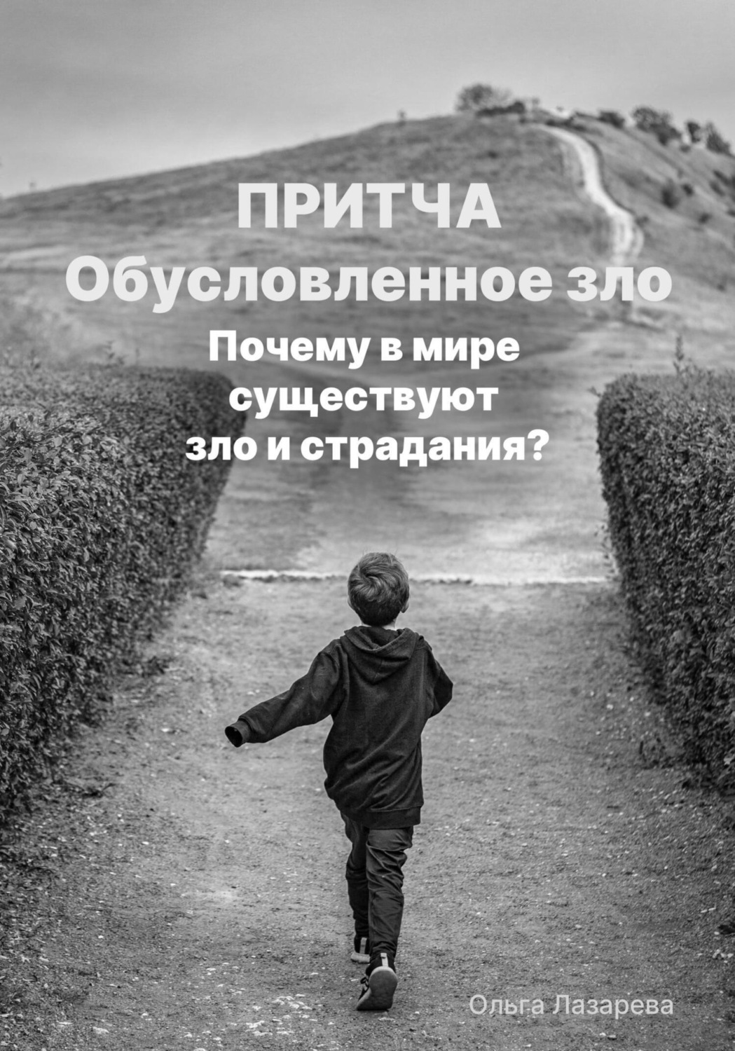 Обложка книги «Обусловленное зло. Почему в мире существуют зло и страдание?»