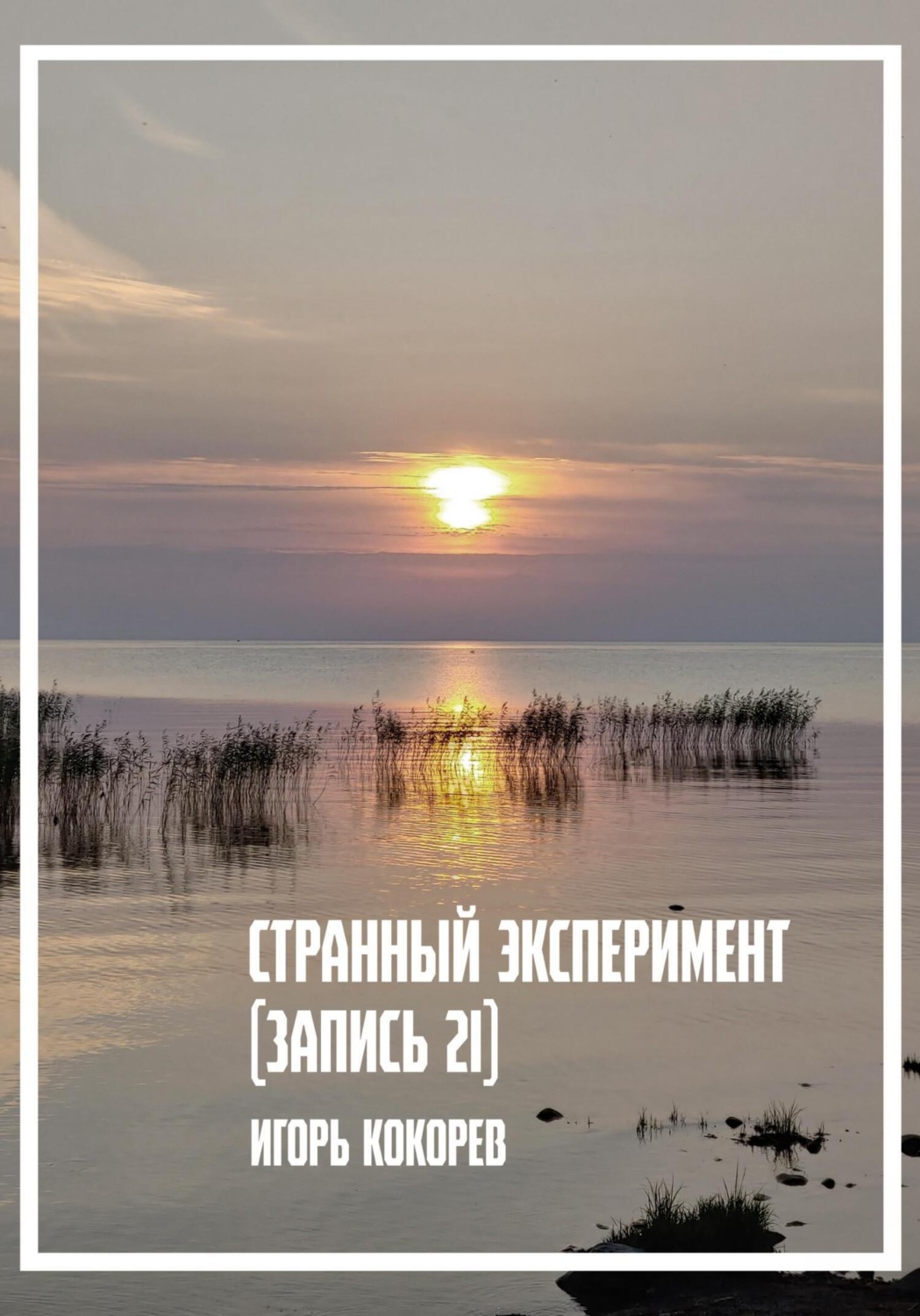 Обложка книги «Странный эксперимент. Запись 21»