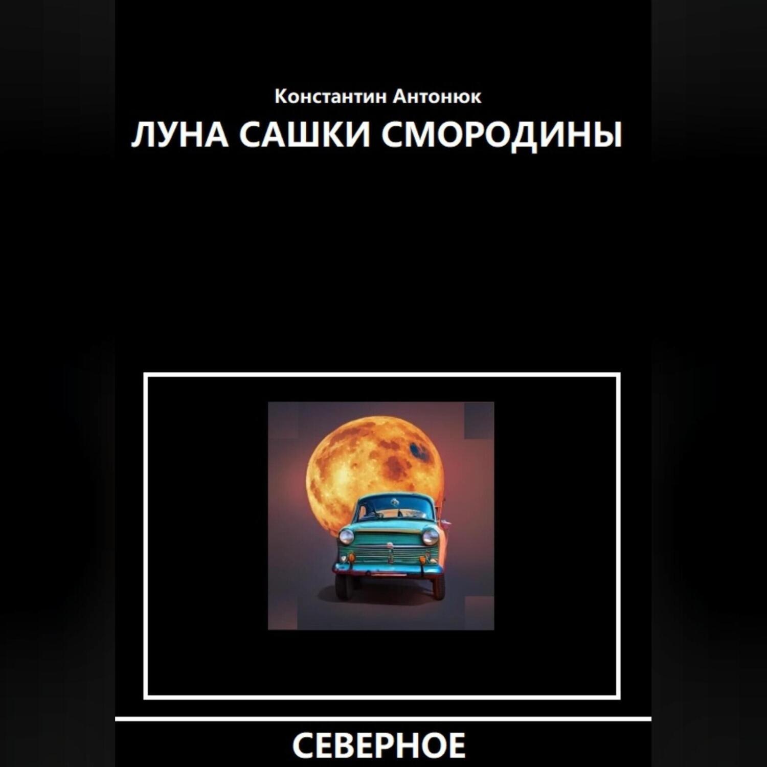Обложка книги «Луна Сашки Смородины»