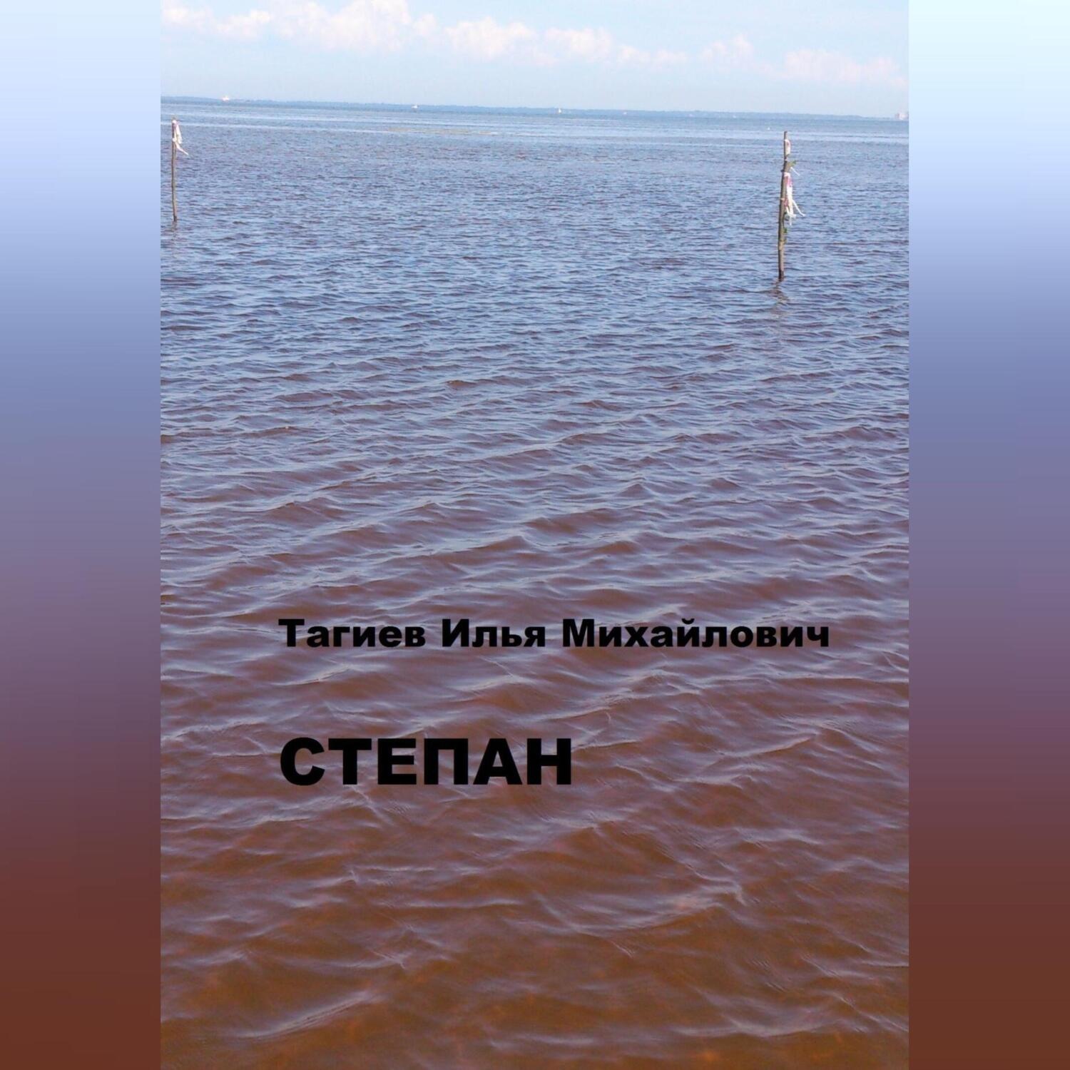 Обложка книги «Степан»