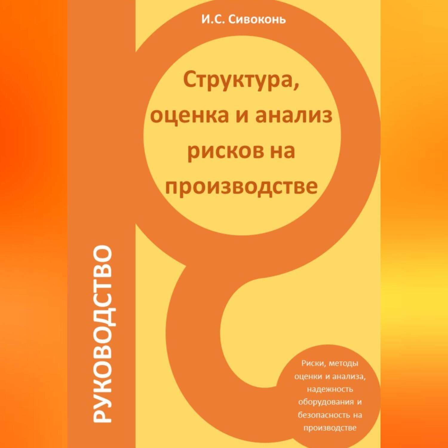 Обложка книги «Структура, оценка и анализ рисков на производстве»
