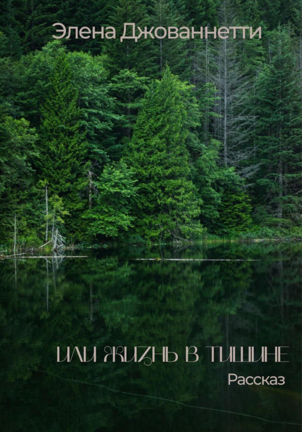 Обложка книги «Или жизнь в тишине»