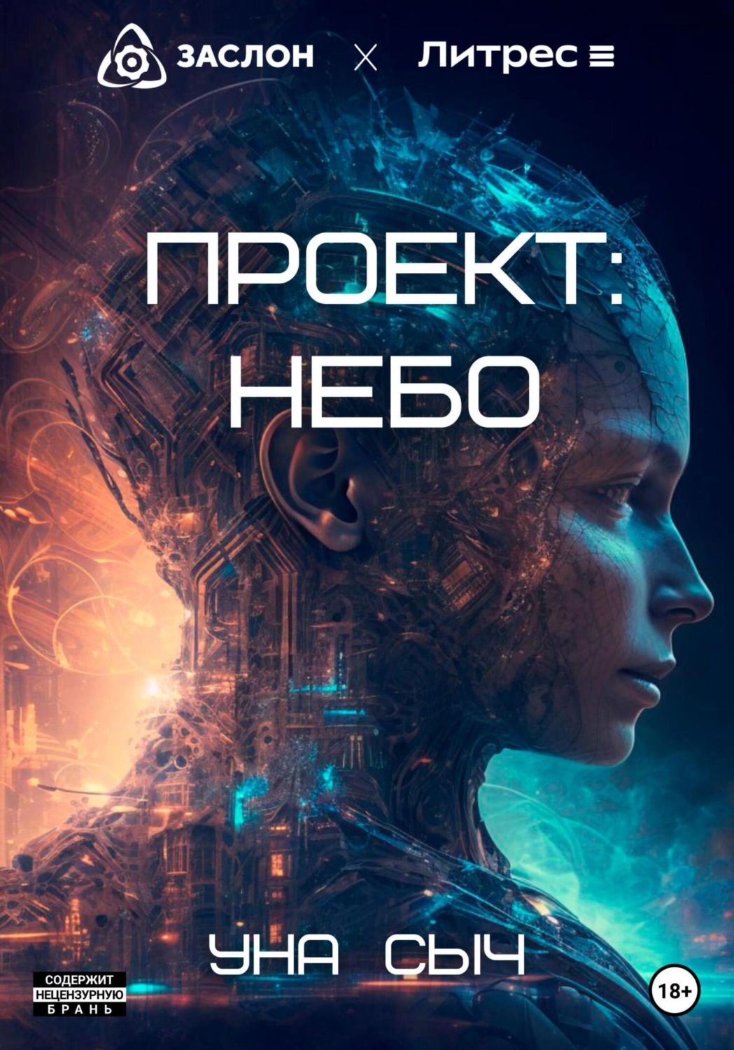 Обложка книги «Проект: Небо»