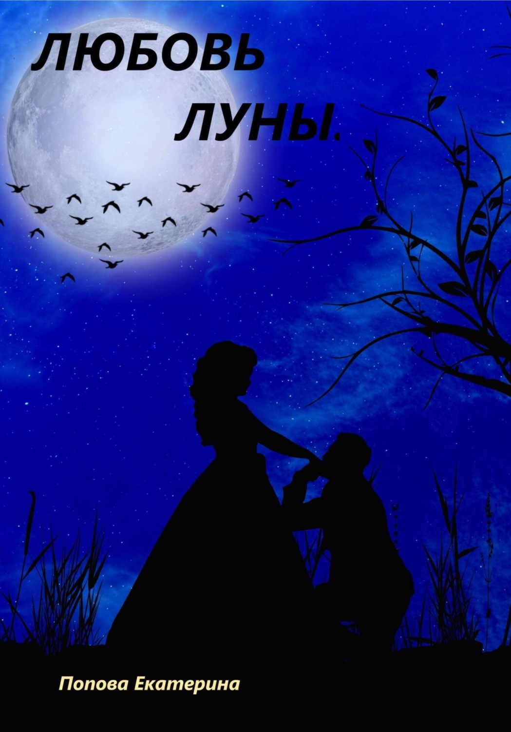 Обложка книги «Любовь луны»
