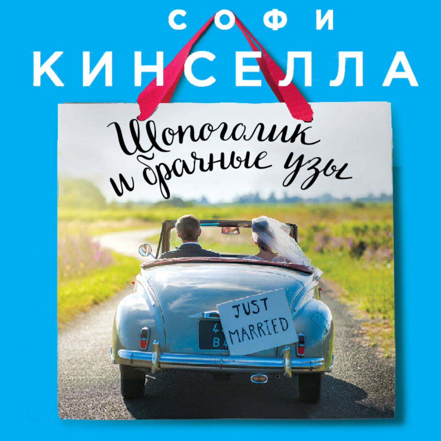 Обложка книги «Шопоголик и брачные узы»