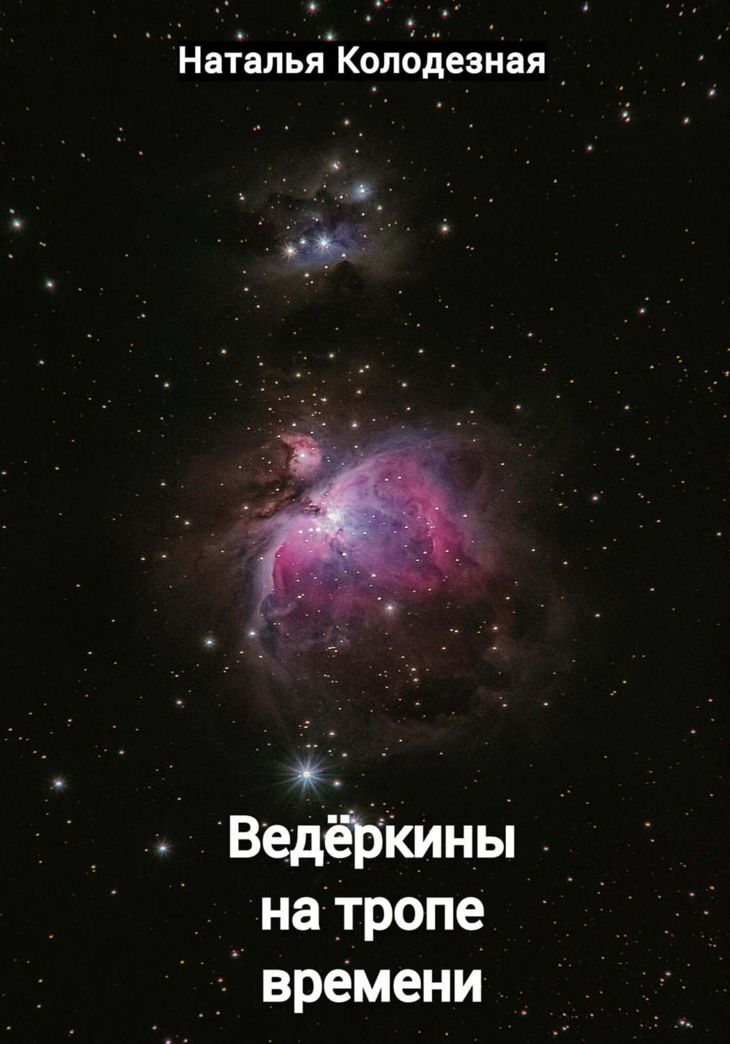 Обложка книги «Ведёркины на тропе времени»