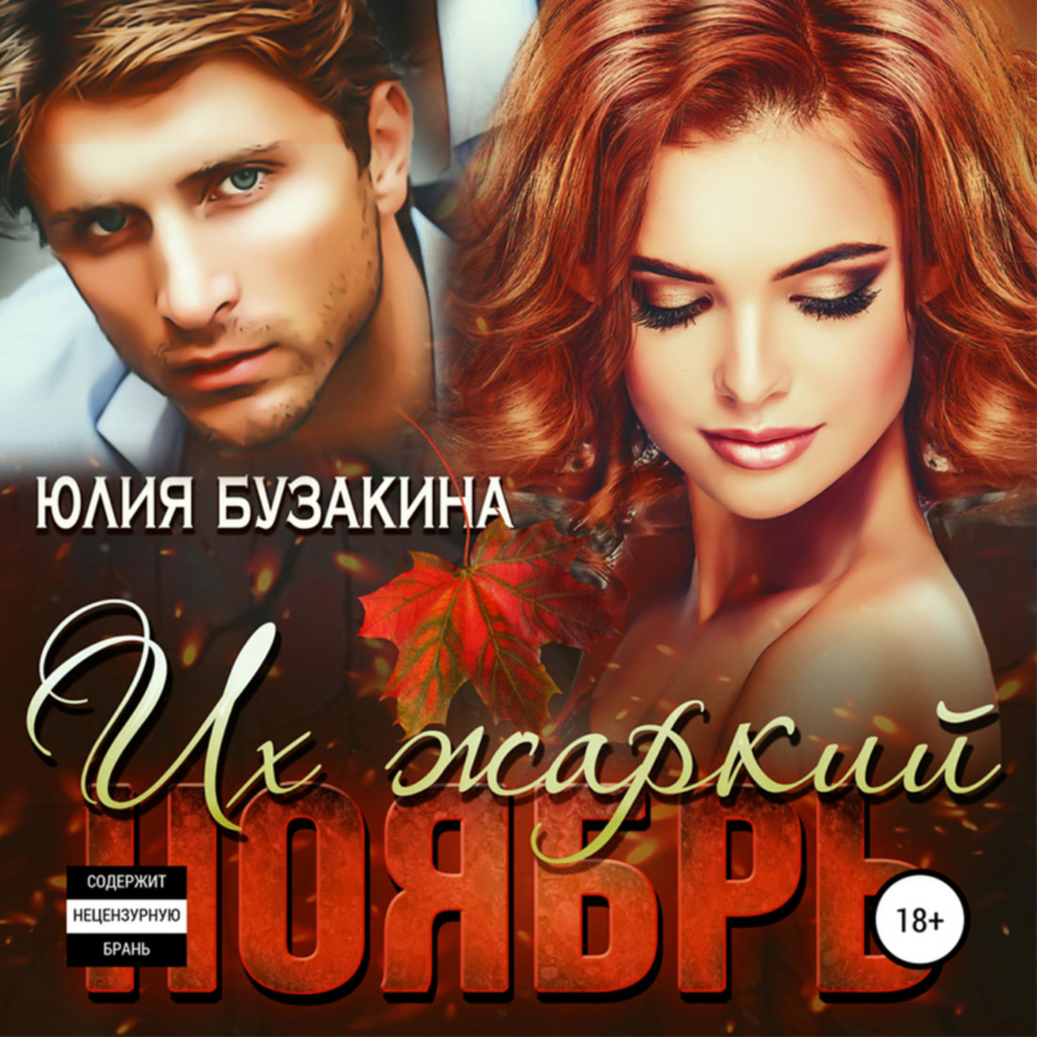 Обложка книги «Их жаркий ноябрь»