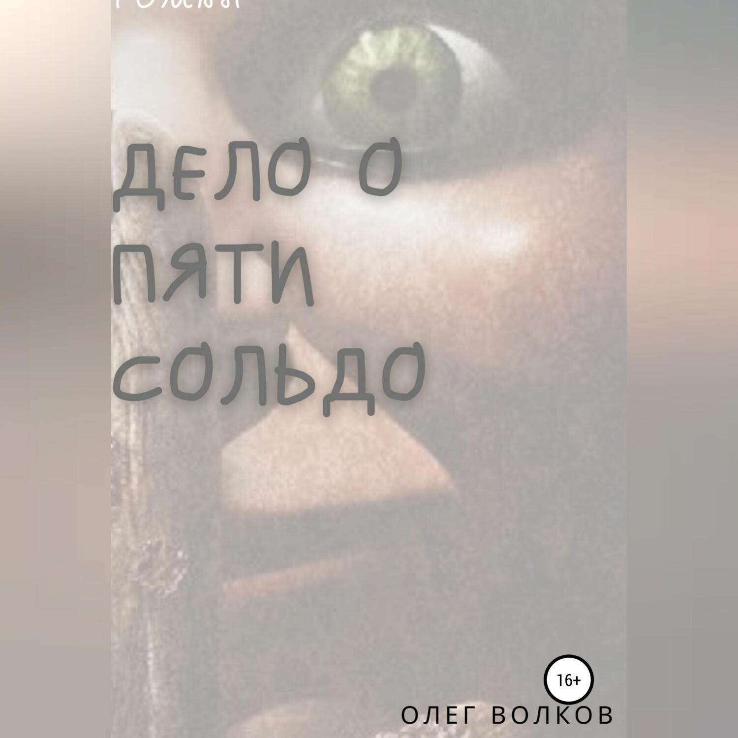 Обложка книги «Дело о пяти сольдо»