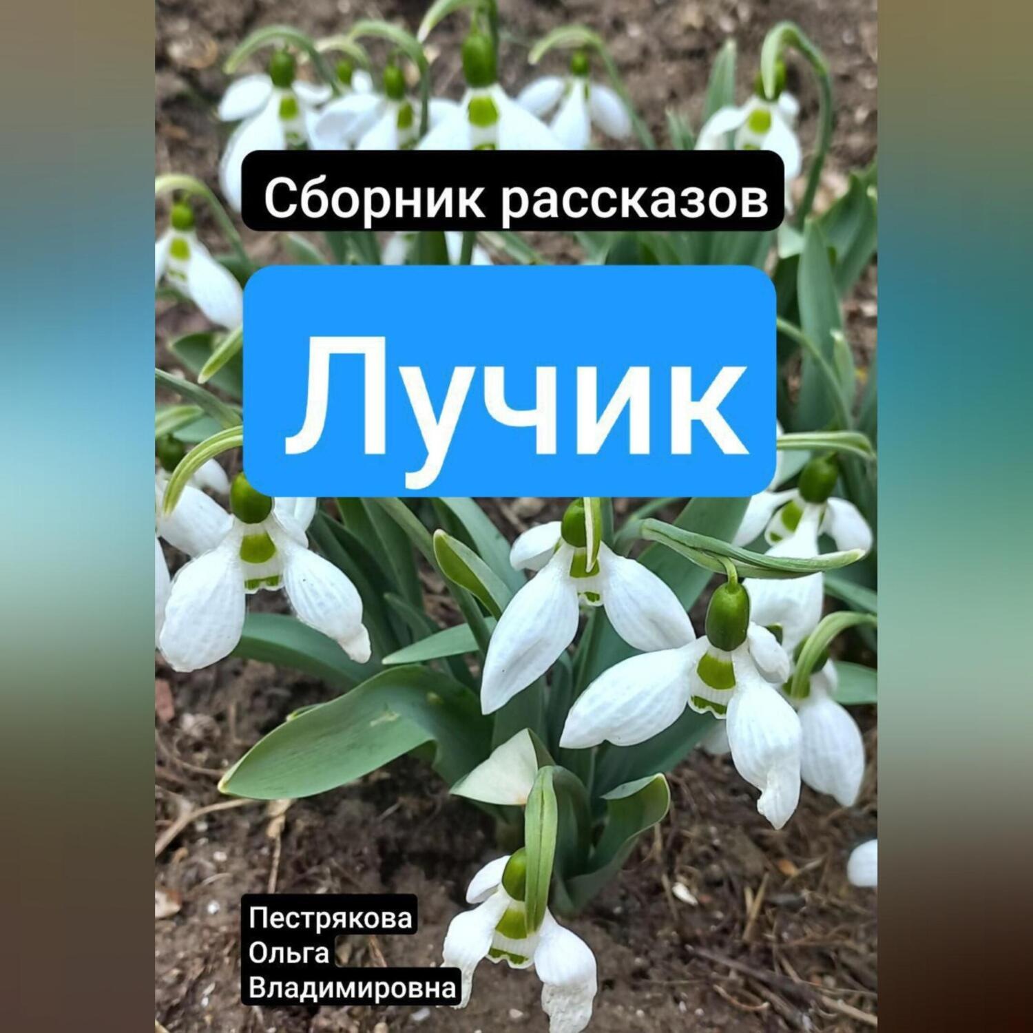 Обложка книги «Лучик»