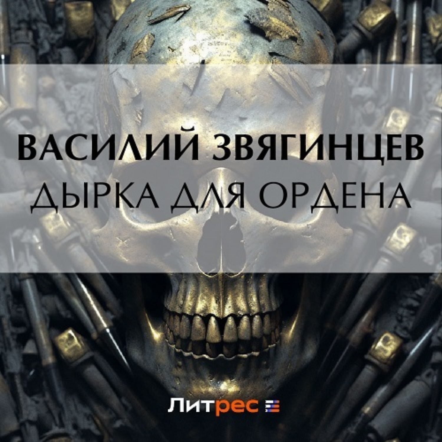 Обложка книги «Дырка для ордена»